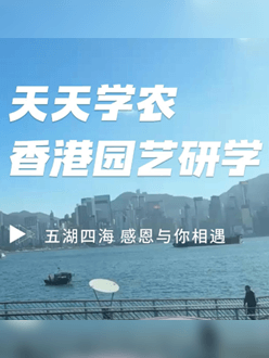 与香港园艺学会联合举办香港园艺研学，专业园境师带队讲解。